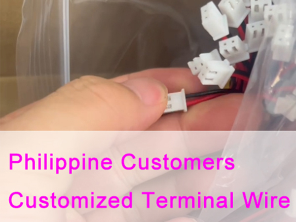 Shipments of connecting cables to customers in the Philippines who have been cooperating for 6 years